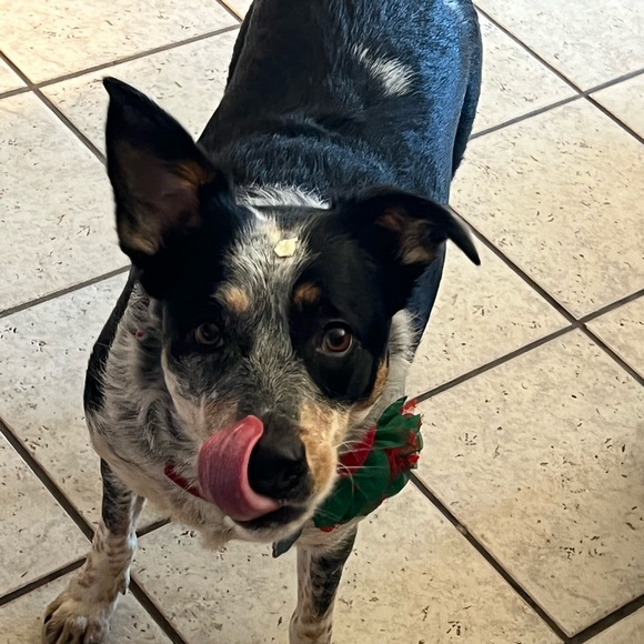 Meet your Posher, Karla - Picture 1 of 1